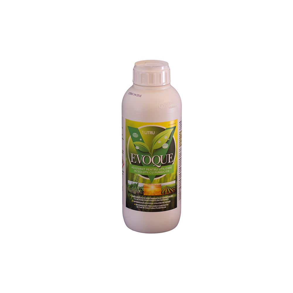 Evoque - Adjuvanti