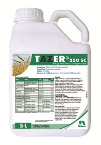 Tazer 250 SC - Fungicide
