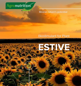 Estive - Regulator termic